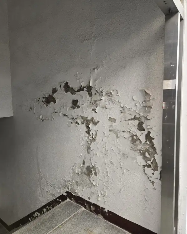 외벽 페인트 벗겨짐 보수 계단 옆 벽면 이전