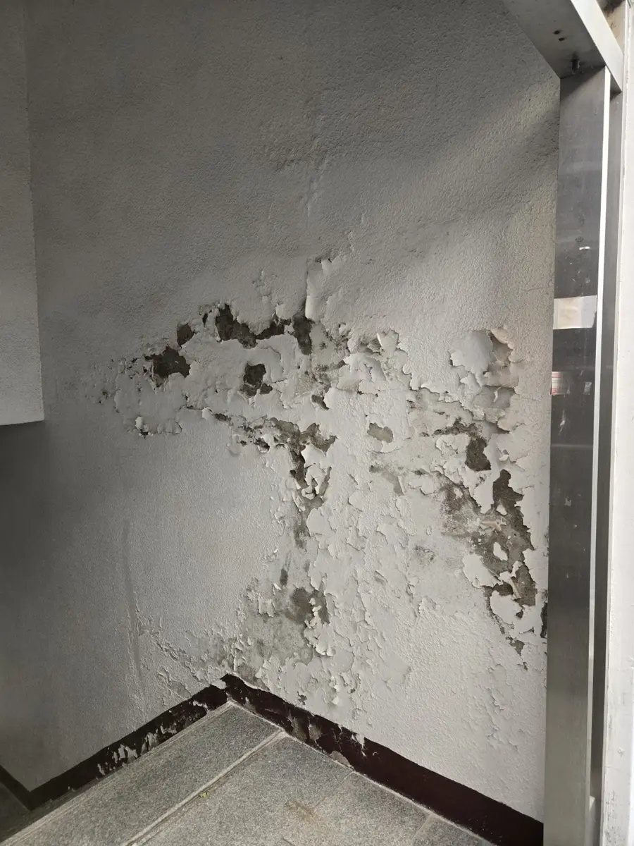 페인트 박리 보수 전 들뜬 계단 옆 벽면
